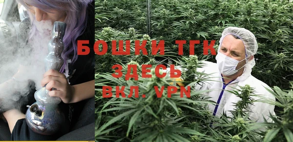 apvp Мегион