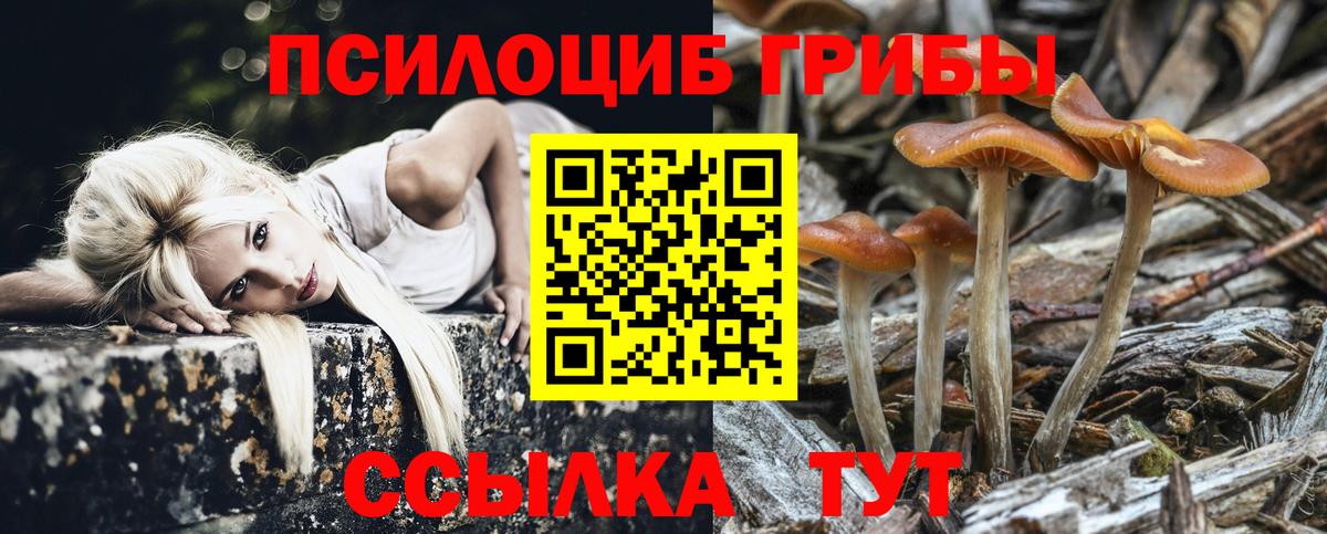 Галлюциногенные грибы Magic Shrooms Мелеуз